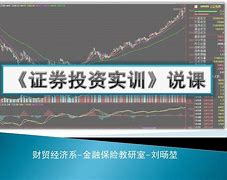 证券投资实训(证券投资实训报告心得体会)