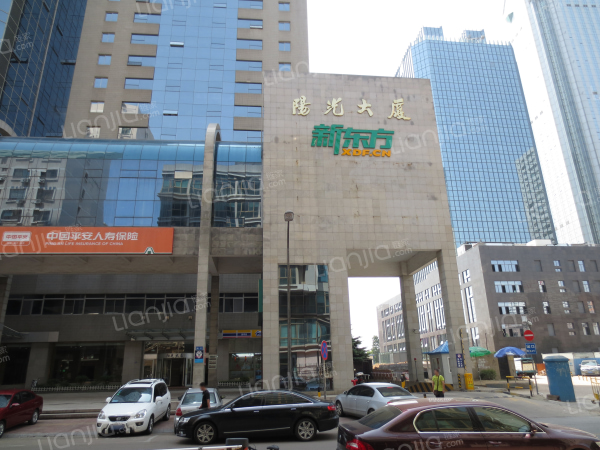 平安证券香港(平安证券香港证券开通b股账户)