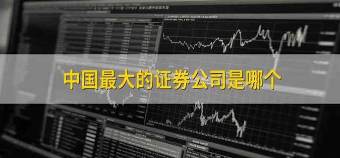 证券公司英文(证券公司英文资产证明)