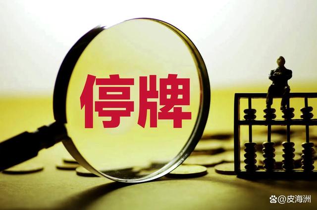 证券停牌(证券停牌了怎么办)