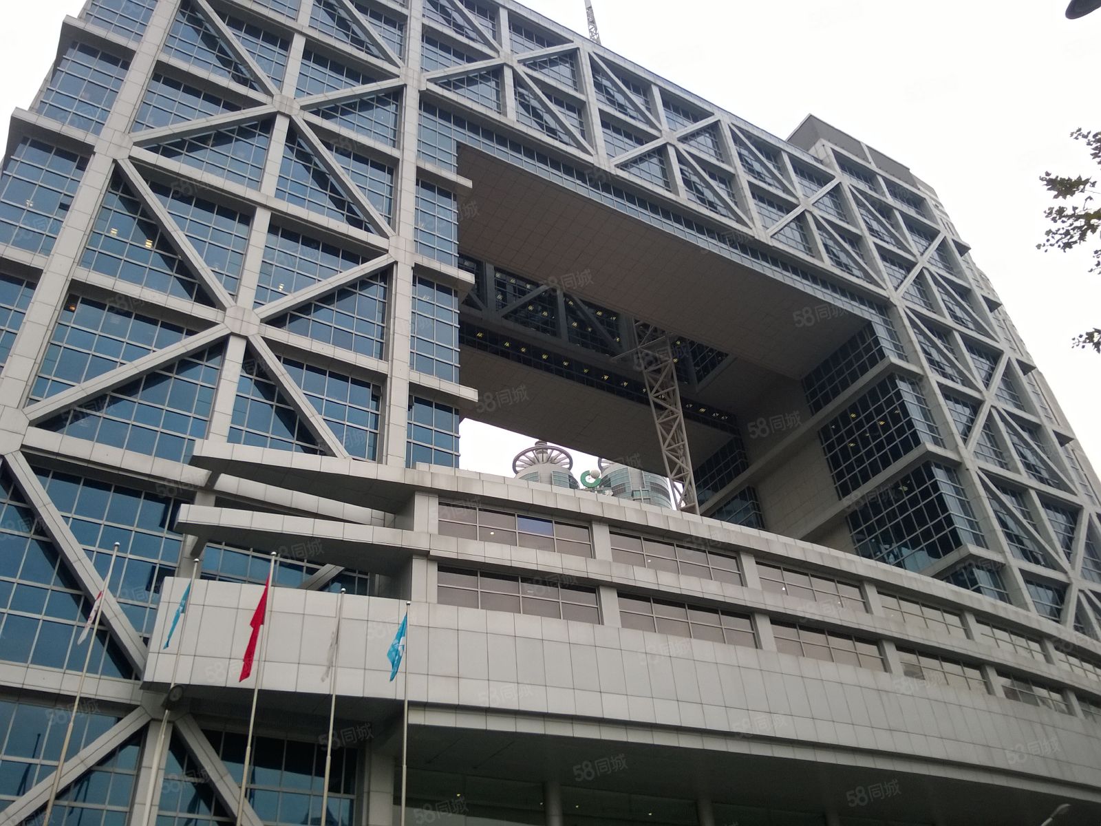 上海证券有限责任公司(上海证券有限责任公司校招)