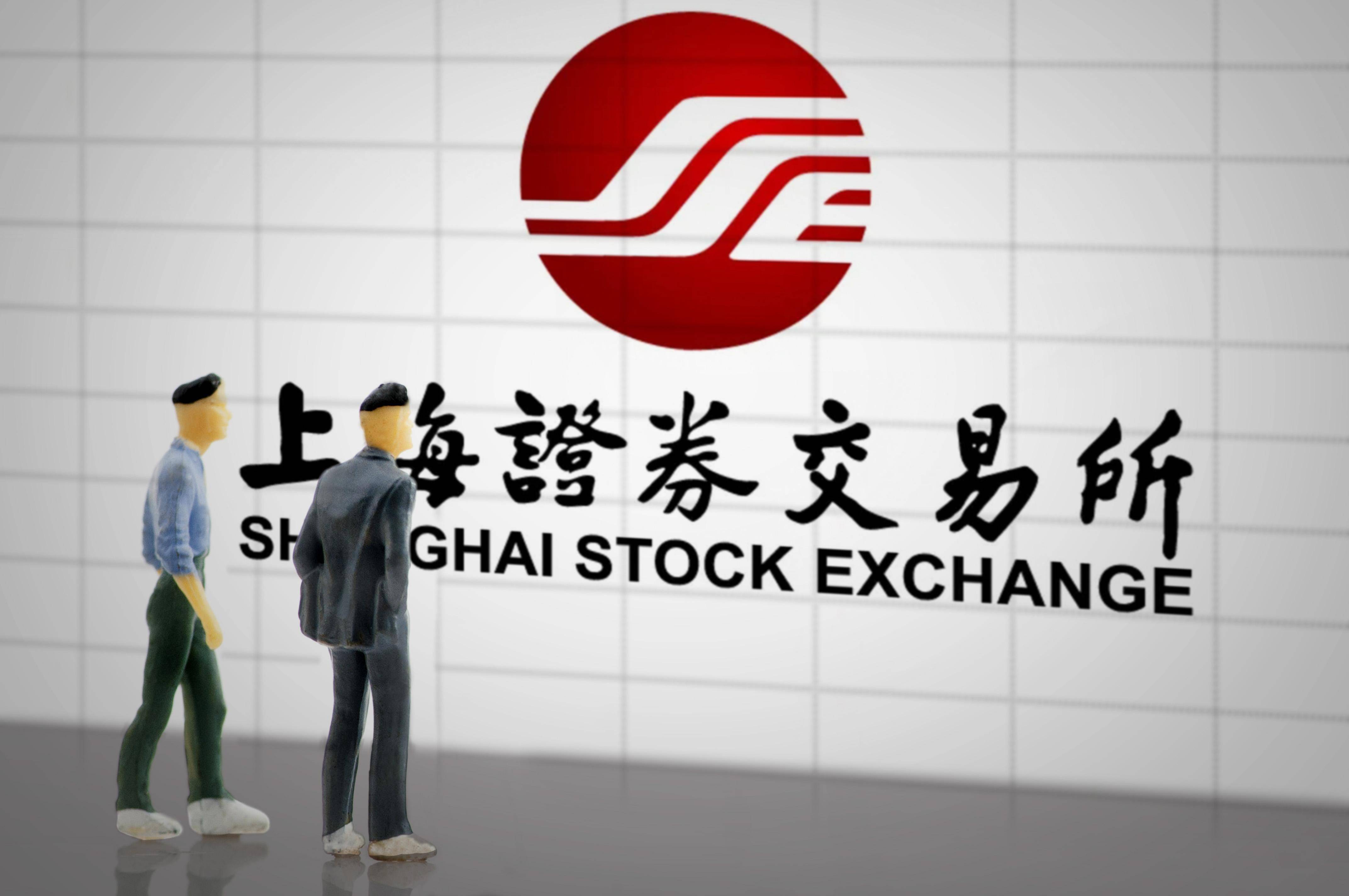上海证券股份有限公司(上海证券公司排行榜前十名)