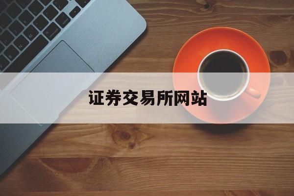 证券交易所网站(证券交易所网站查询)